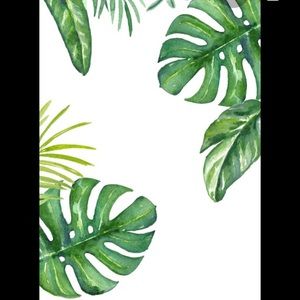 Meet your Posher, Rossi